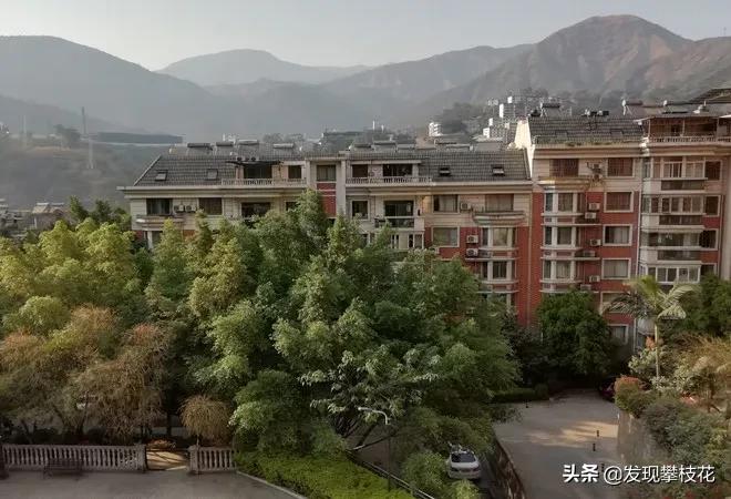 攀枝花临亚小区是哪个社区,临亚家园二手房