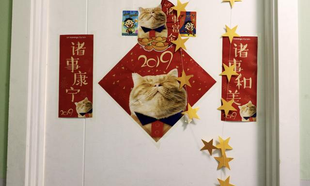 青春记实,青春记大学生在行动