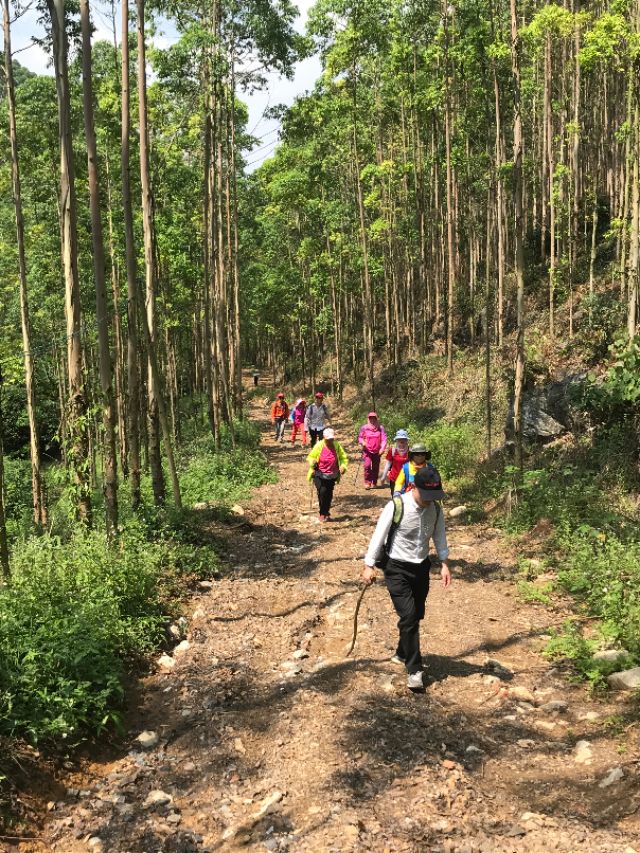 五月的风情图片,五月的风情感语录