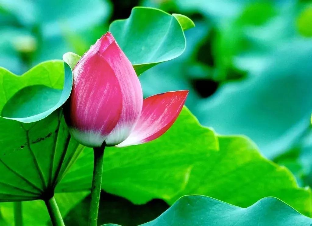 中医气疗方法,中医练气静功