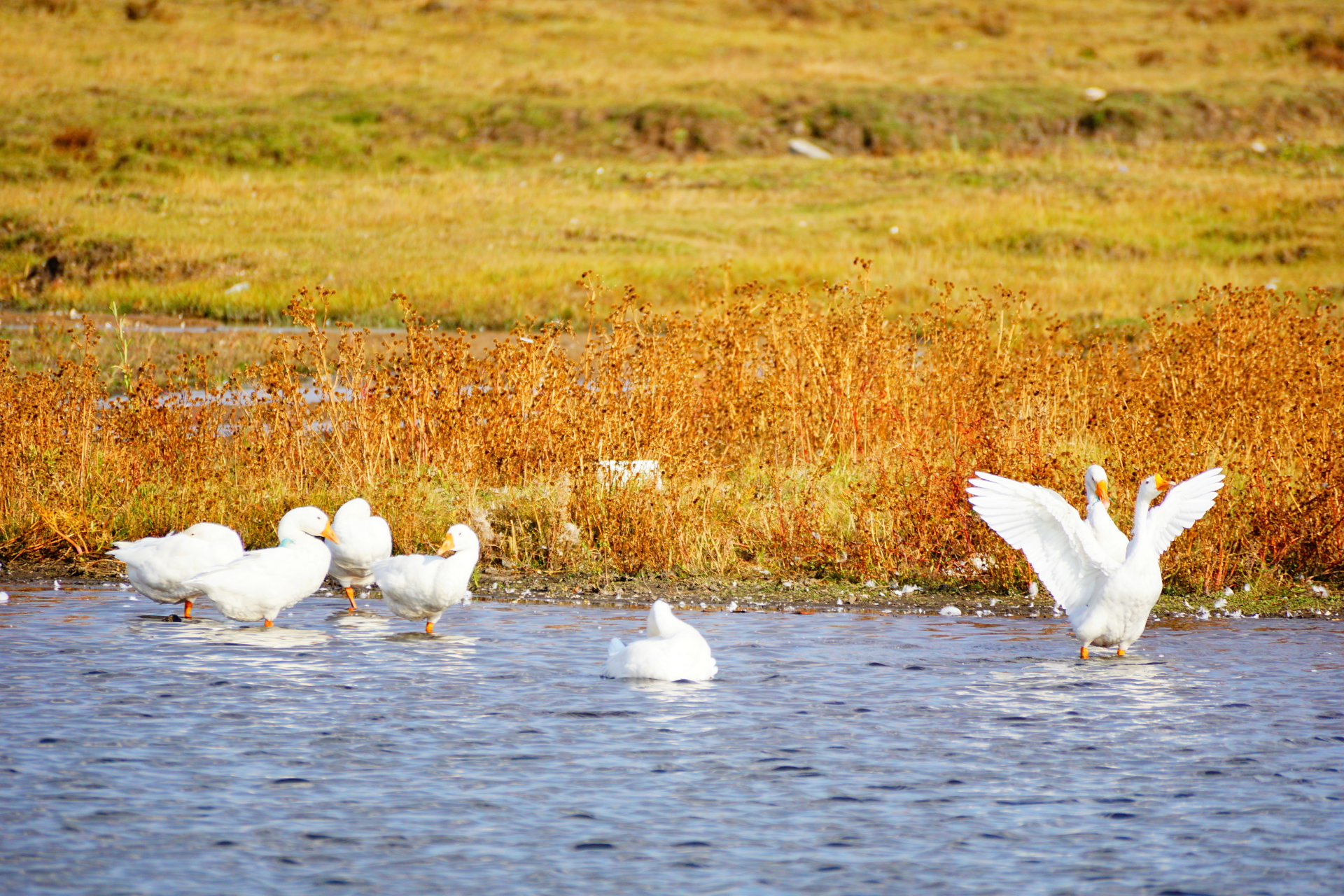 京北第一天路千松坝国家森林公园,千松坝森林公园和京北第一天路