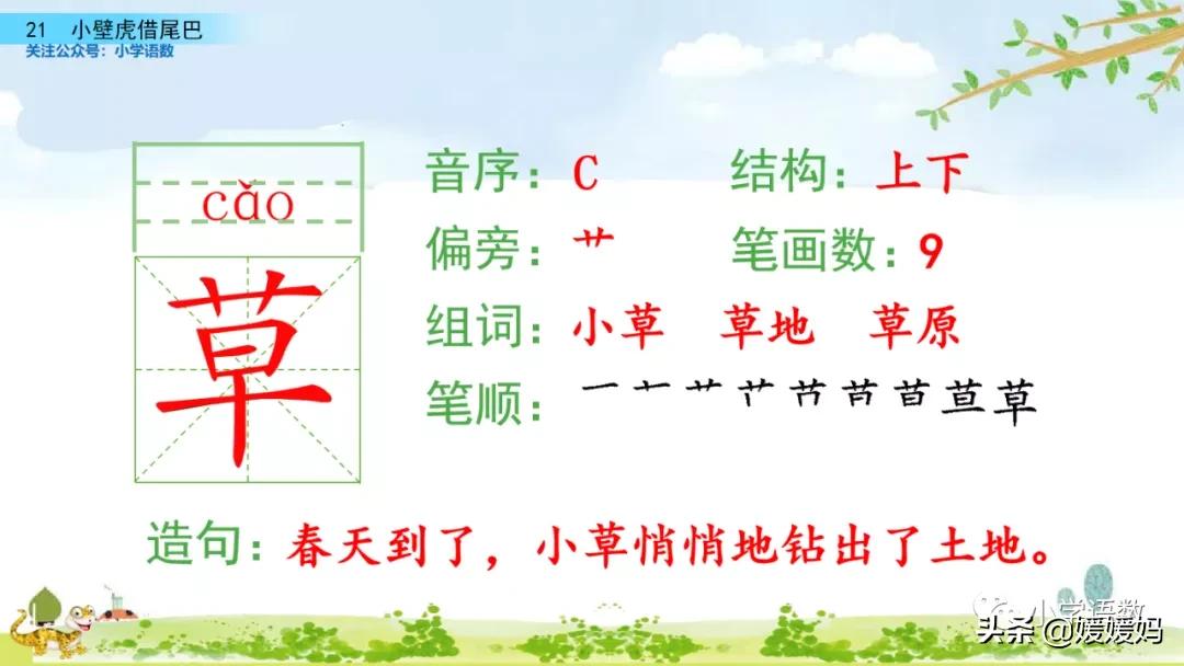 一年级小壁虎借尾巴原文图片,小壁虎借尾巴优质课一等奖