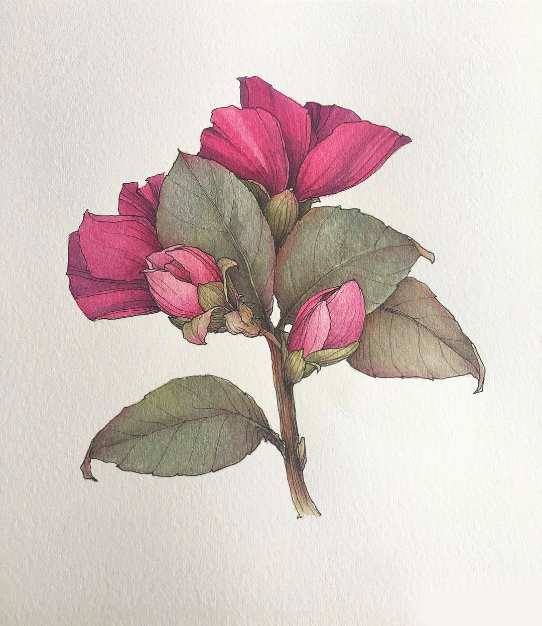 素材库找不到想要的视频怎么办,素材库的东西找不见了