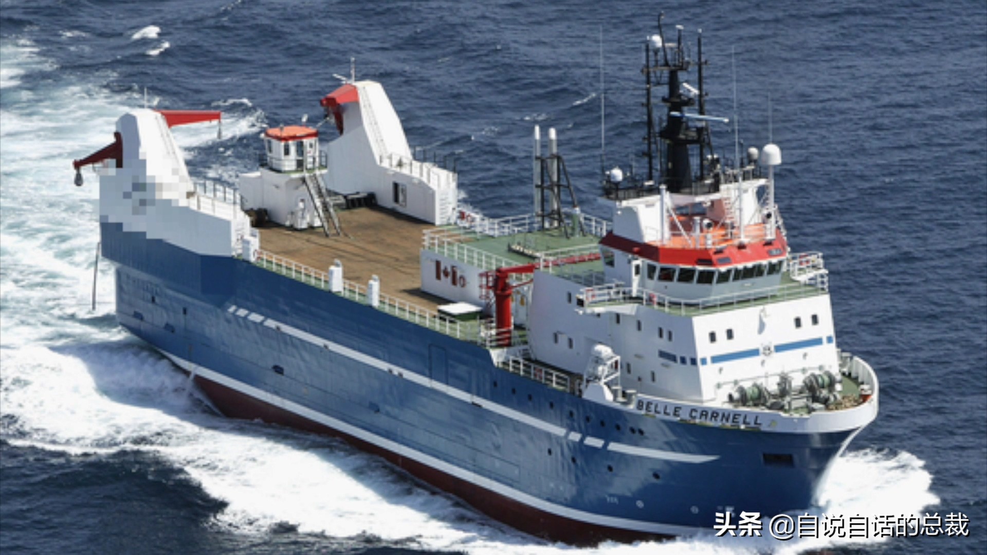 蚬蚌蛏的区别是什么,蚶子蛤蜊蚬子区别