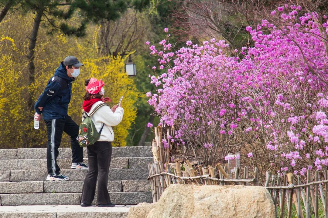 西海岸北国之春,期待春暖花开的西海岸