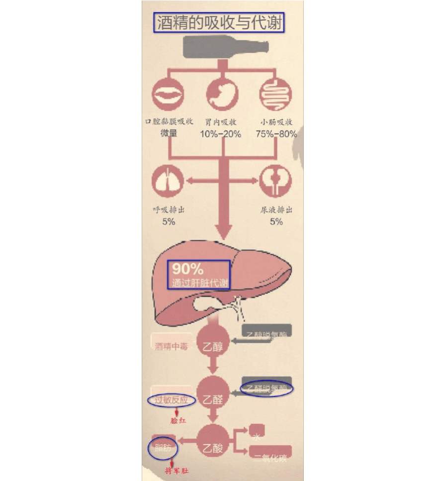 澶╂触寰嬪笀娲己,娲己寰嬪笀