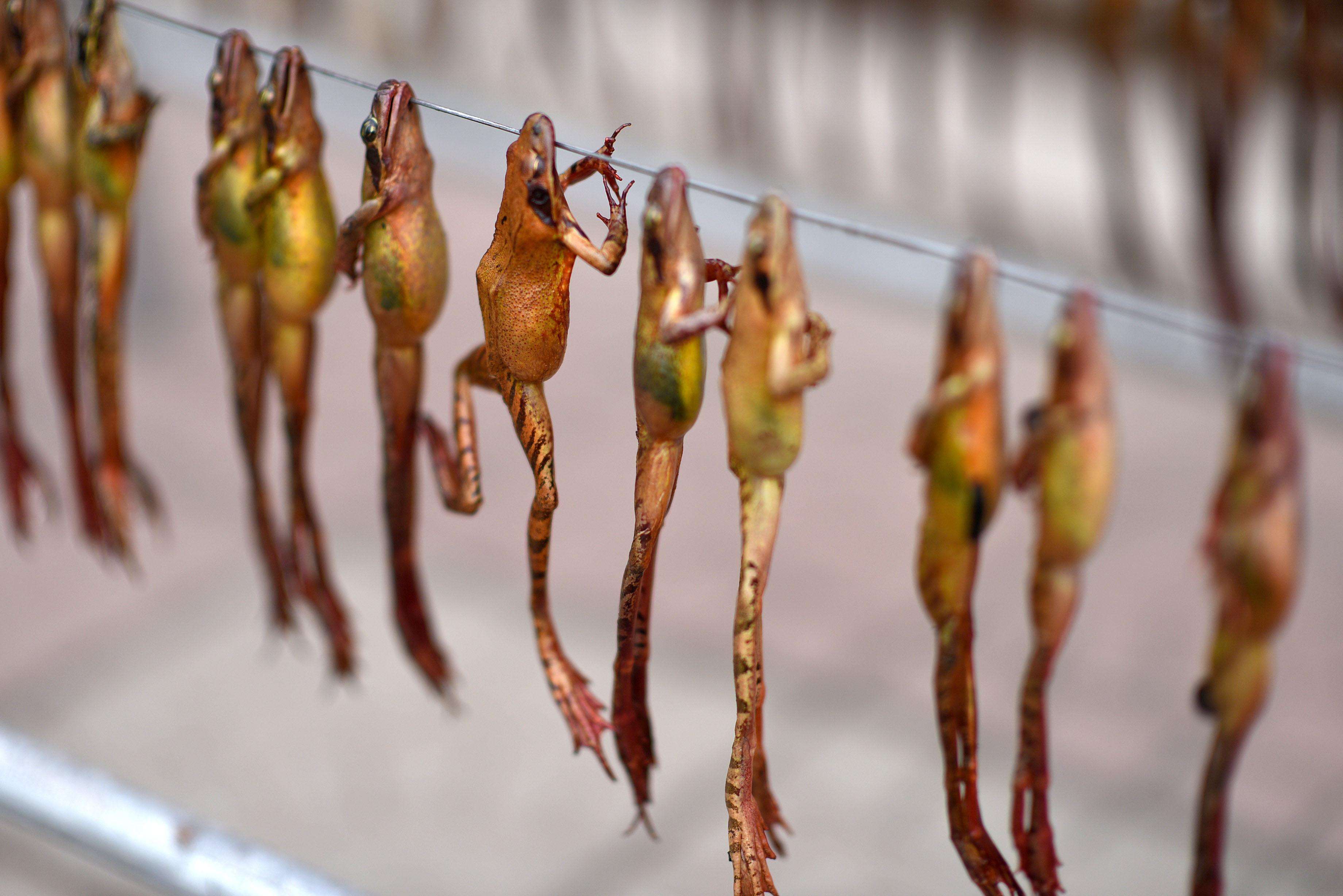 雪蛤建议每天吃吗,吃雪蛤早晨吃还是晚上吃