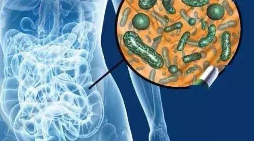 母婴肠道健康,母婴营养与健康