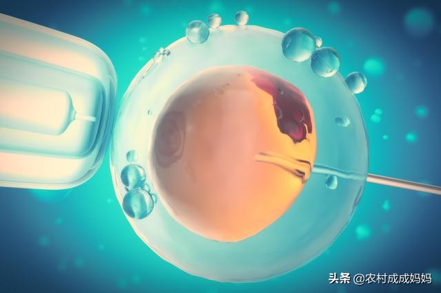 打败2亿个竞争者,战胜上亿竞争对手来到这个世界