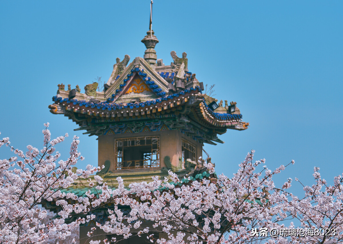 中国军事禁地风景区,玄武湖是中国最大的皇家园林湖