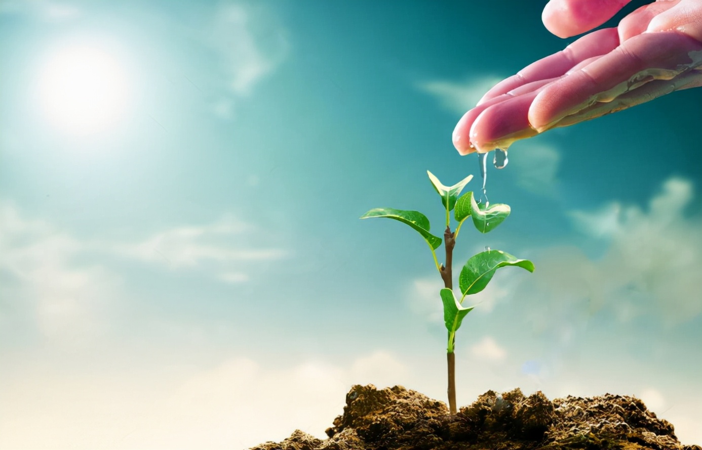 人生不怕坎坷就怕很多事都不会做,人生不怕失败就怕不敢开始