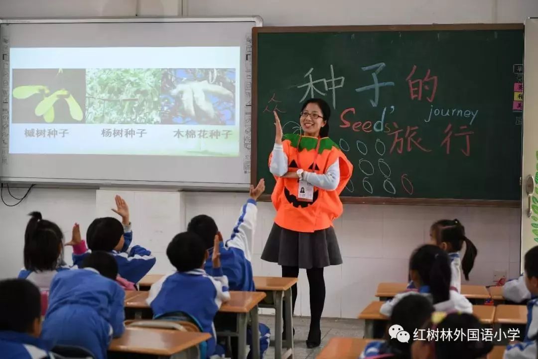 宝安区公立小学积分排名,宝安公办小学积分一览表