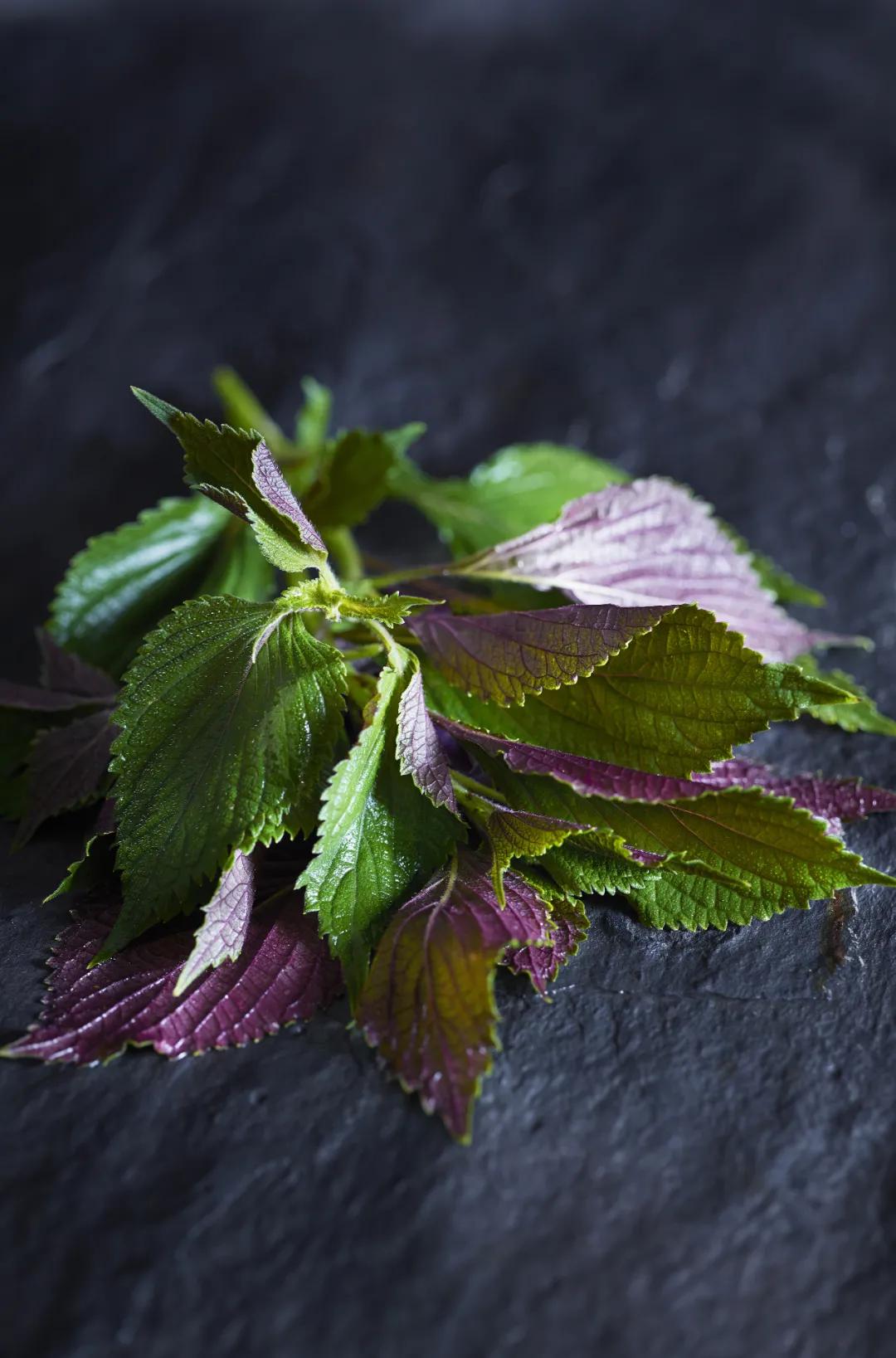 鳝鱼有几种吃法怎么吃,广东鳝鱼怎么做好吃