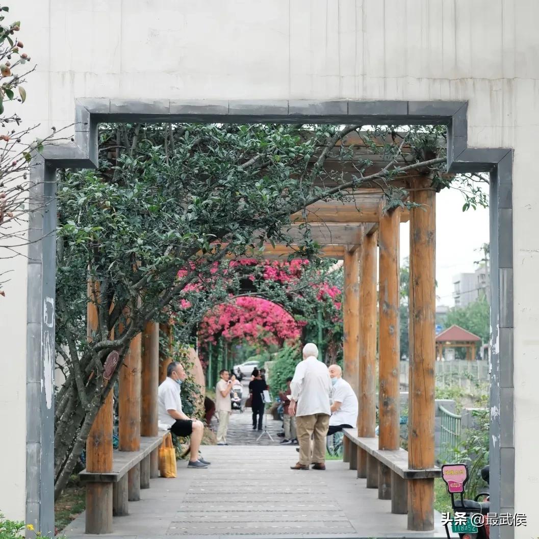 少陵路属于什么街道,三年前少陵路