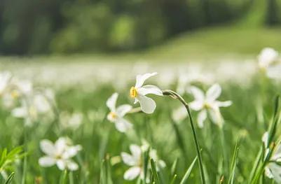 和谁在一起将会改变你的人生走向,和谁在一起决定你成为什么样的人