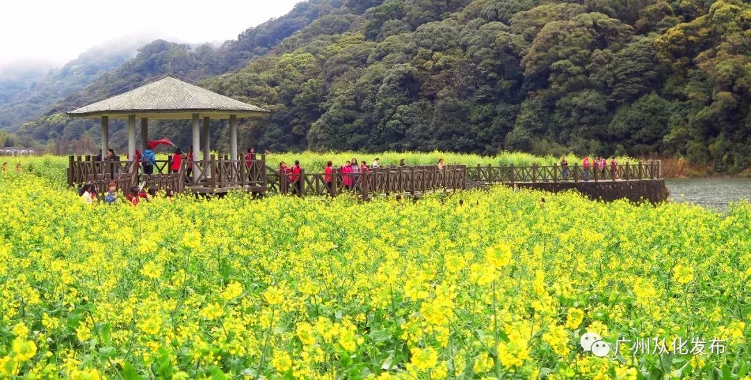 从化旅游景点排行榜前十名有哪些,广州从化旅游攻略必去十大景点