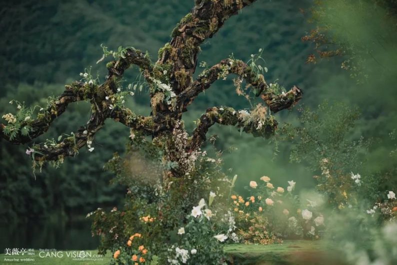 婚庆公司如何与婚礼堂竞争,婚礼堂出现了婚庆公司何去何从