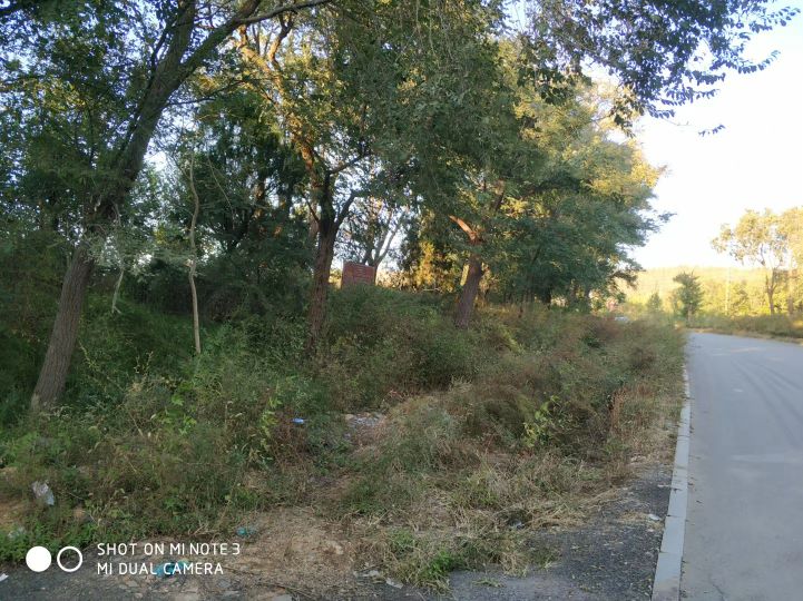 大连长兴岛长城,大连长城4s店