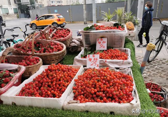 成都市恩桃儿,恩桃成都