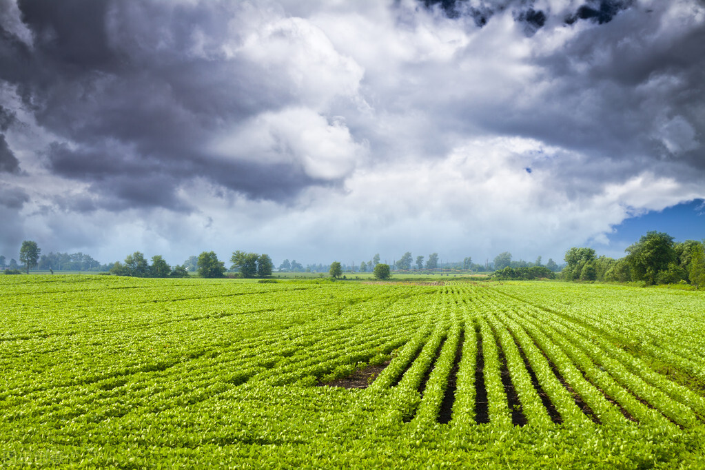 徐州的商机在哪里,徐州2021火爆加盟商机