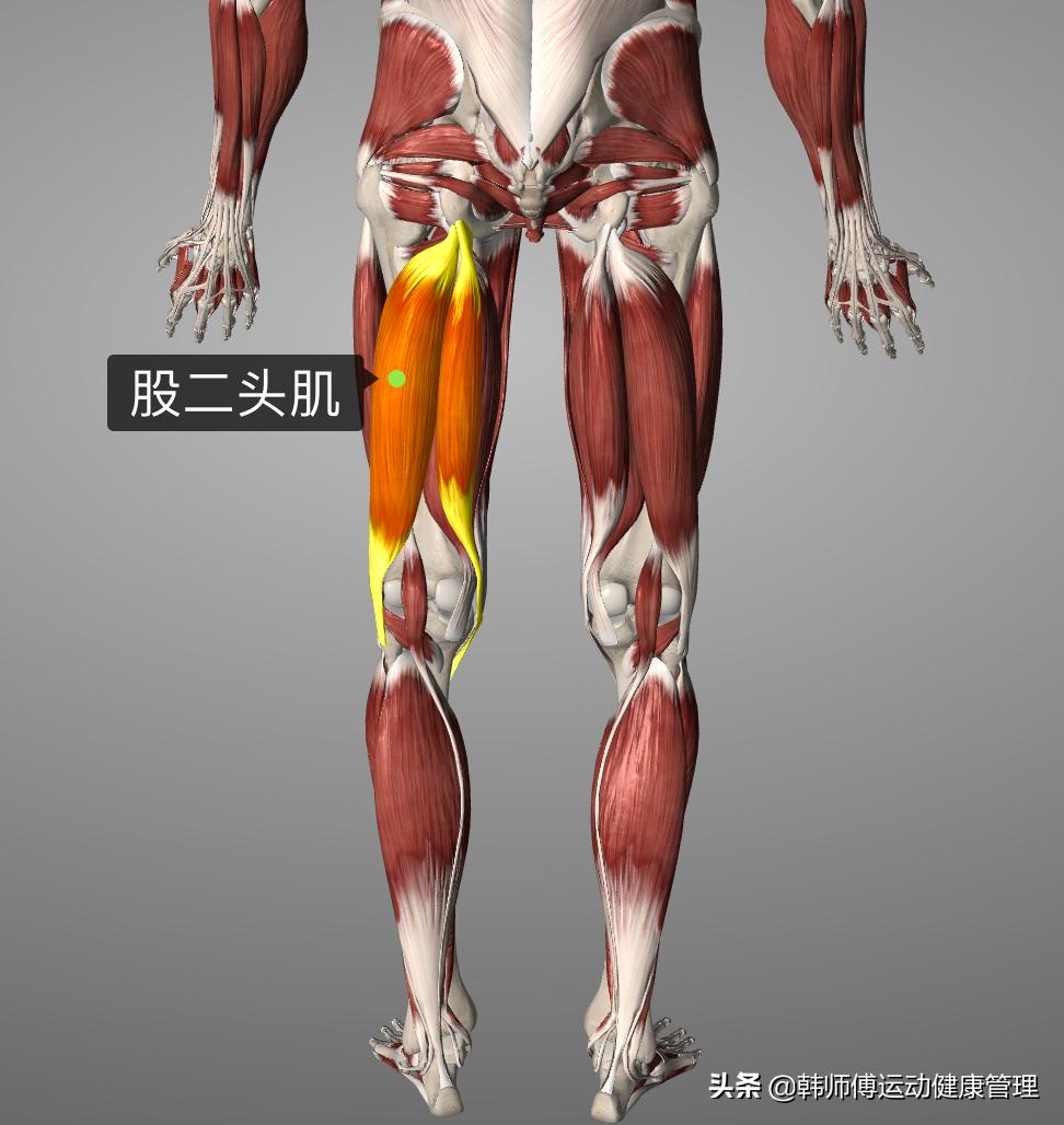 足球锻炼膝盖最好的动作,足球运动主要锻炼身体什么素质呢