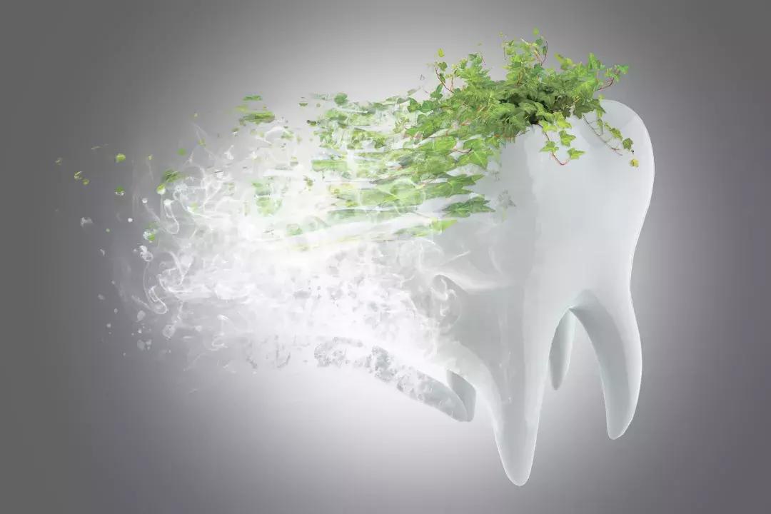 种一颗牙要两三万,种牙一颗6000多