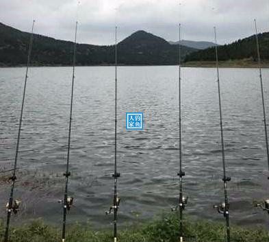 野生大湖钓鱼视频大全,深山老林水库野钓