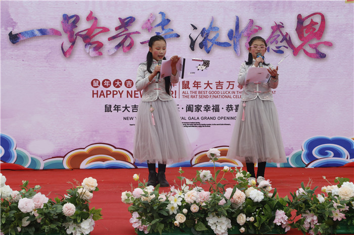 阜阳王家坝文艺汇演在哪里可以看,阜南王家坝公益演出