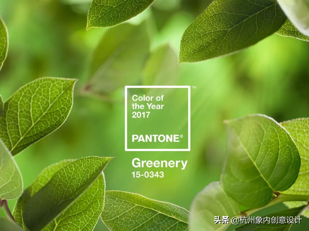 pantone2023流行色对冲色,2024pantone流行色色号