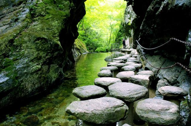 商洛市牛背梁景区介绍,商洛牛背梁旅游景点高清图片