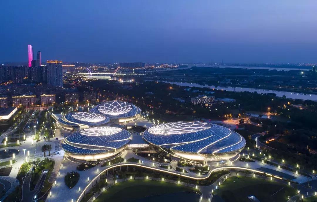 南外放榜，河西金中实小再次入选！一街之隔新房首付仅80万起