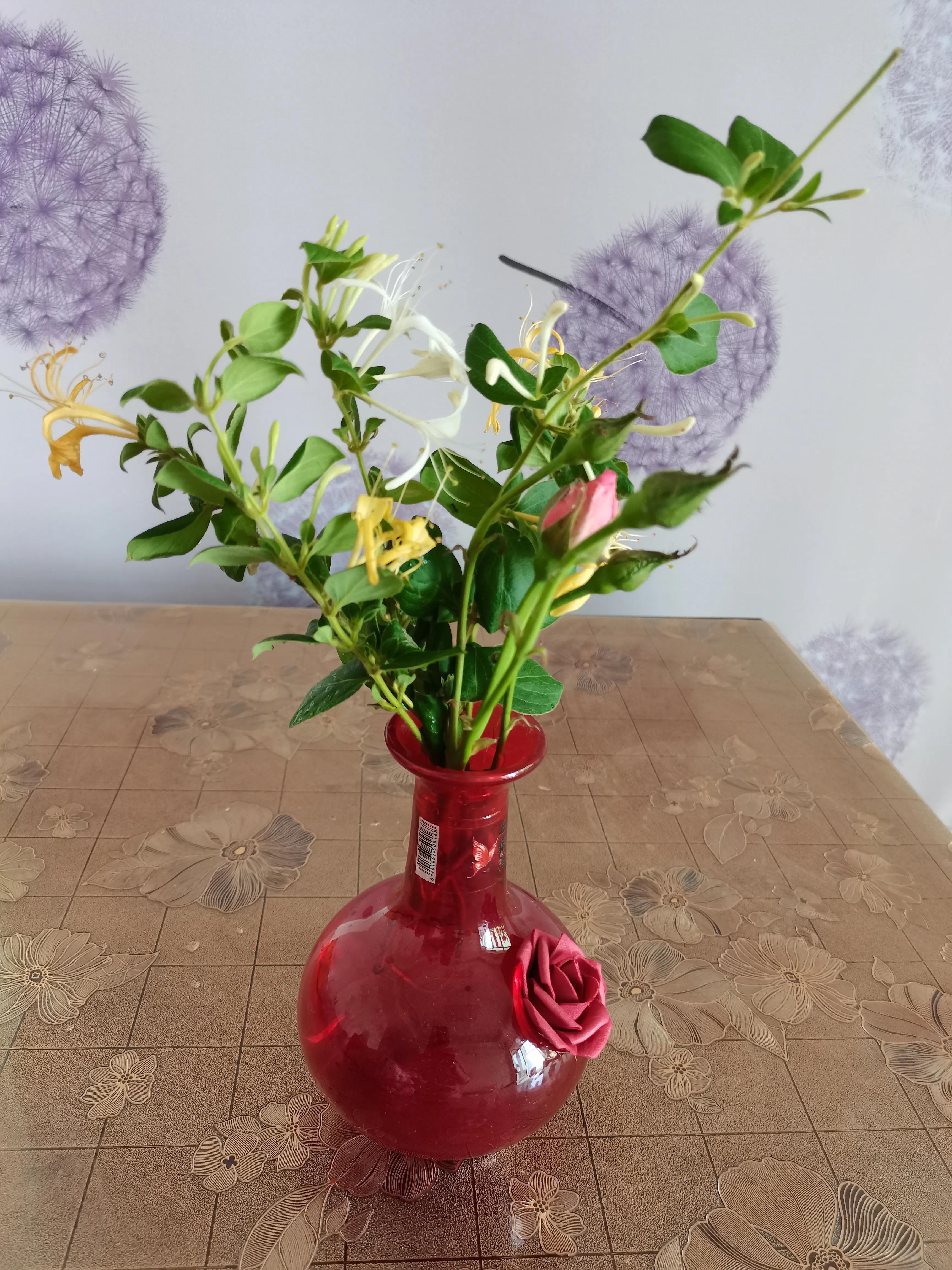 狮子座害怕什么动物,鲨鱼最害怕什么动物