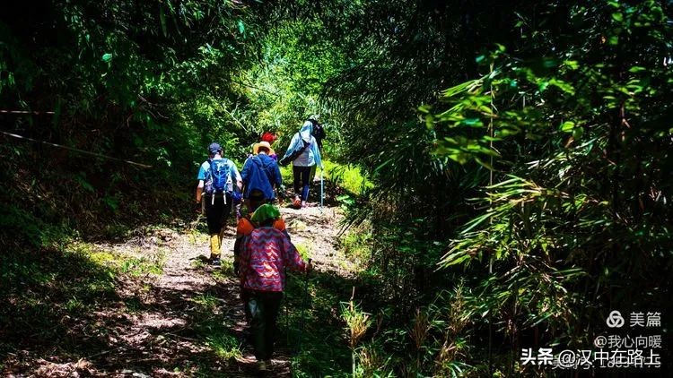 汉中圈子崖天坑,汉中镇巴圈子崖天坑旅游攻略