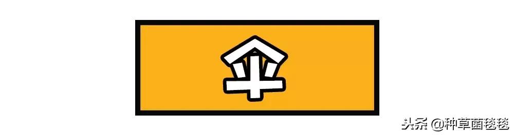 女人办公室必备物品,女生办公必备物品