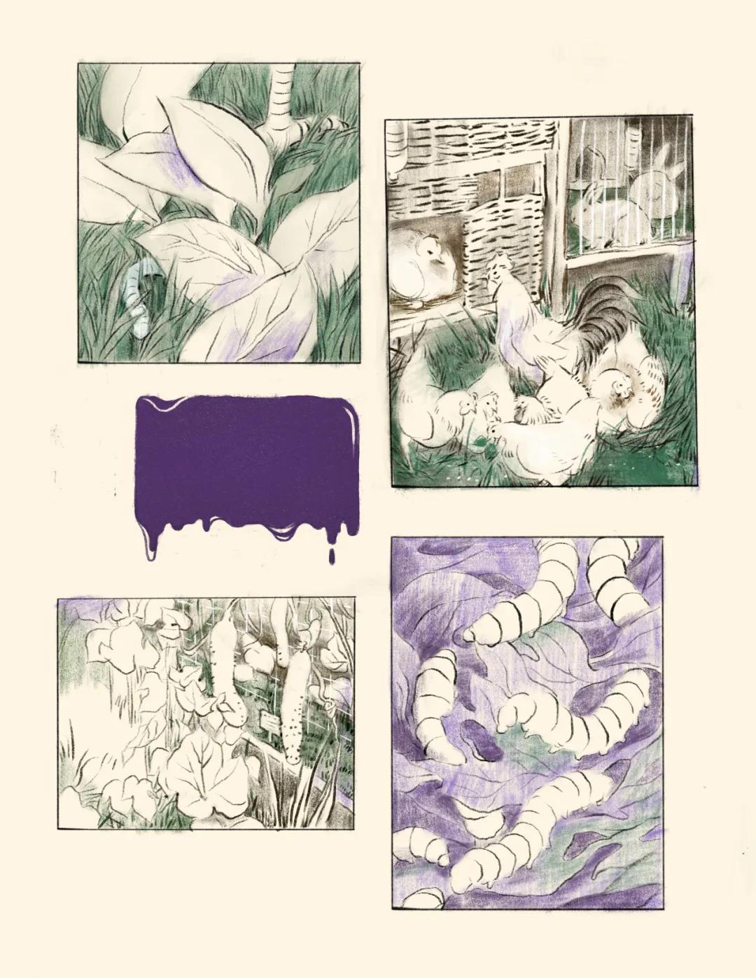 美国纽约视觉艺术学院插画,插画毕业展