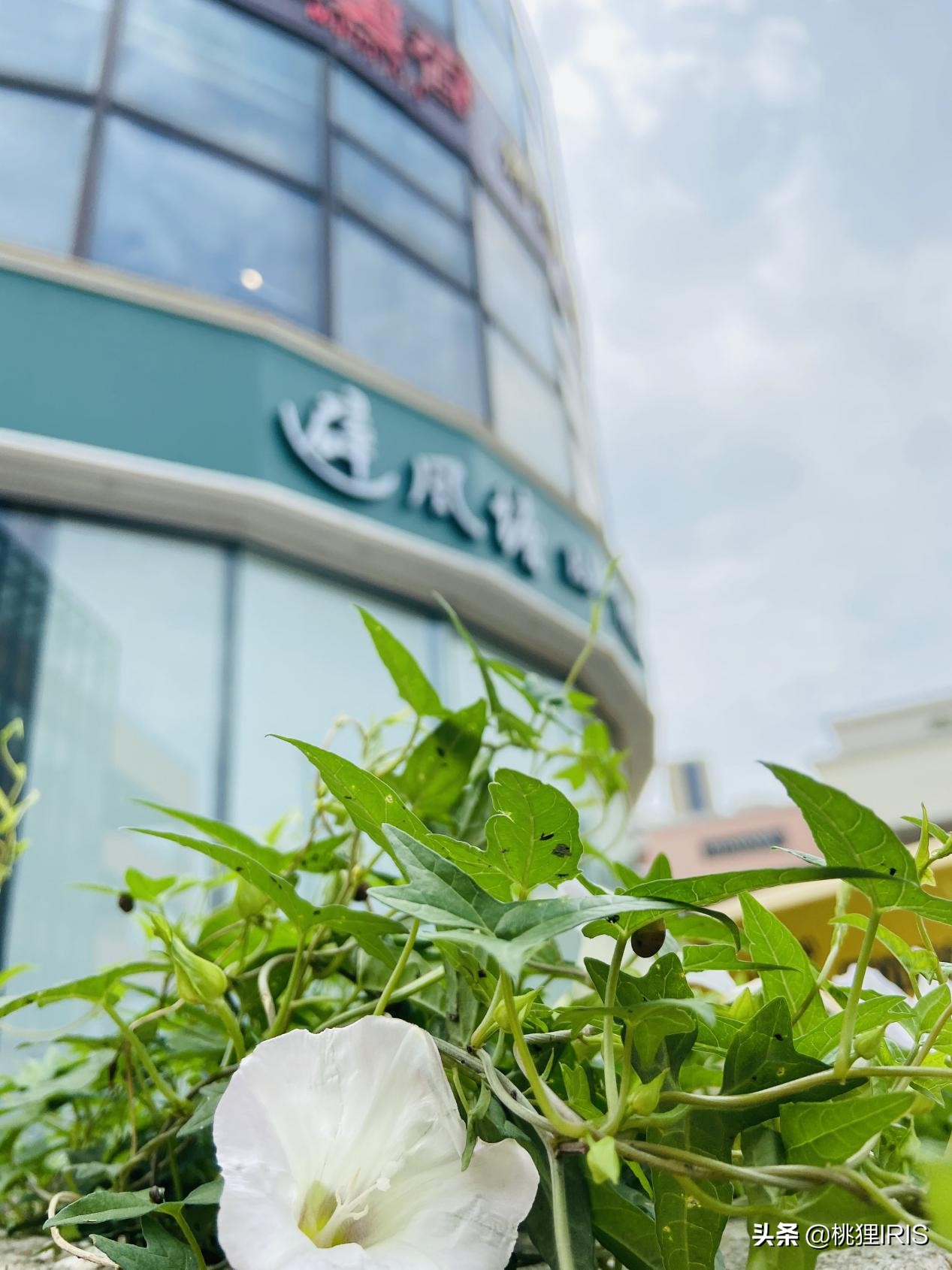 杭州最大的商业中心在哪里,杭州西部最大的购物中心