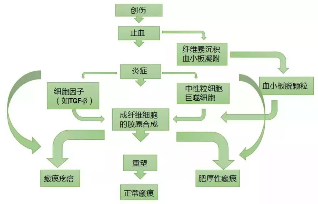 瘢痕体质如果要动手术怎么办,不太严重的疤痕体质能做手术吗
