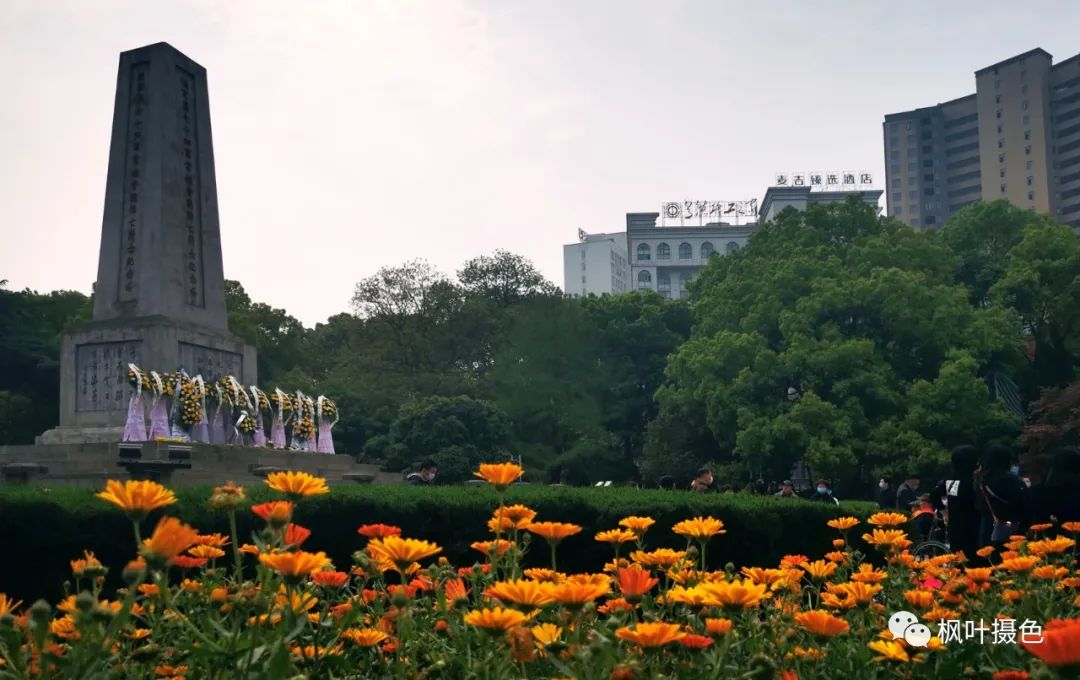 抗战老兵算不算革命烈士,抗战老兵让人热血沸腾