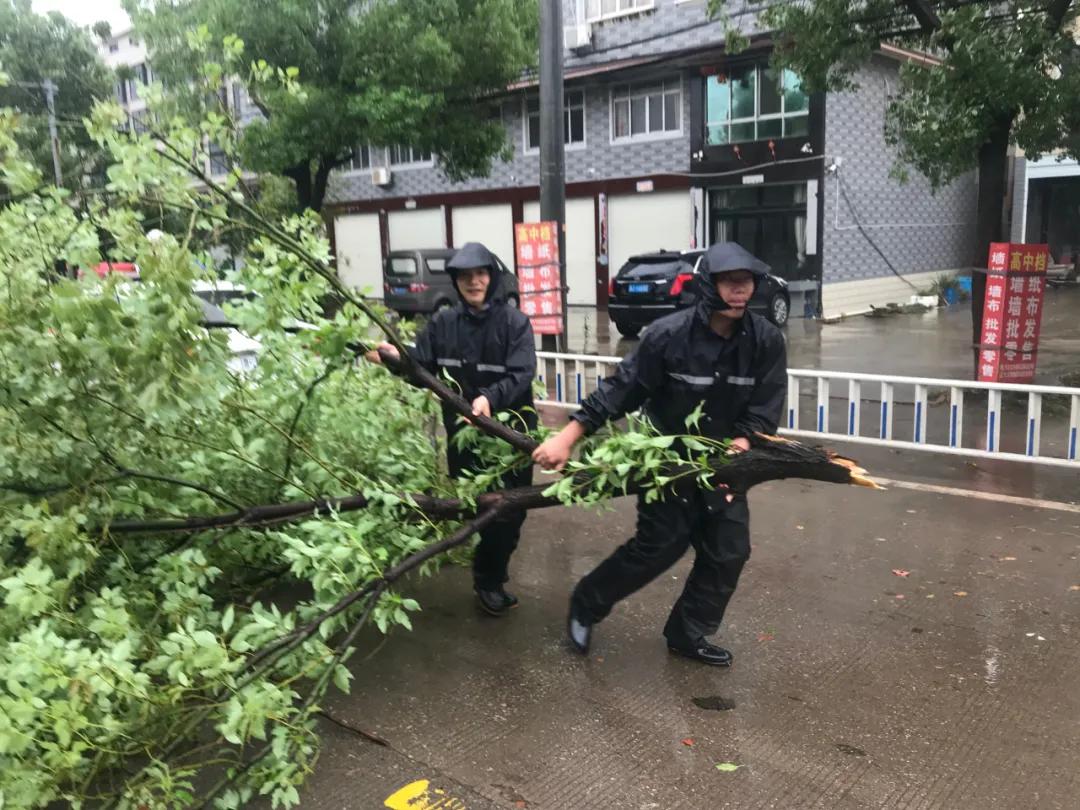 英雄归来不辱使命胜利回家,英雄回家感谢白衣天使
