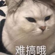 在深圳不用摇号的车型,在深圳没有车怎么申请摇号