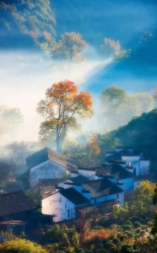 秋天落叶一拍都是一幅画,秋天的景色美得好像一幅画