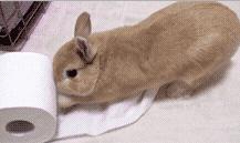 外卖老板送的纸巾,外卖送的纸巾干净吗