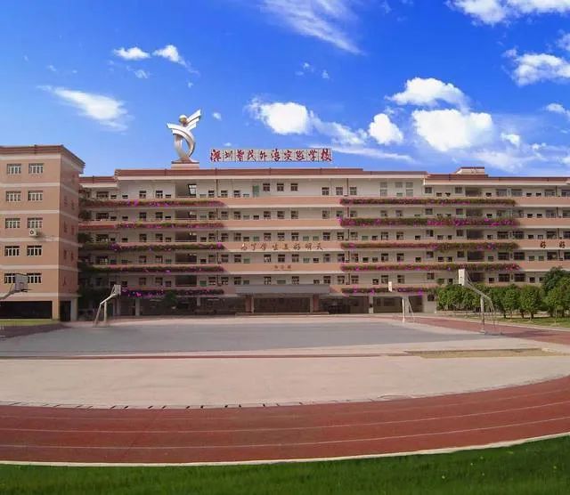 深圳龙岗区学校排行榜高中,龙岗前十名的中学