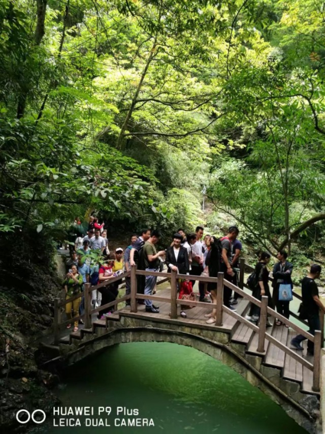 重庆黑山谷避暑适合吗,重庆避暑7天黑山谷
