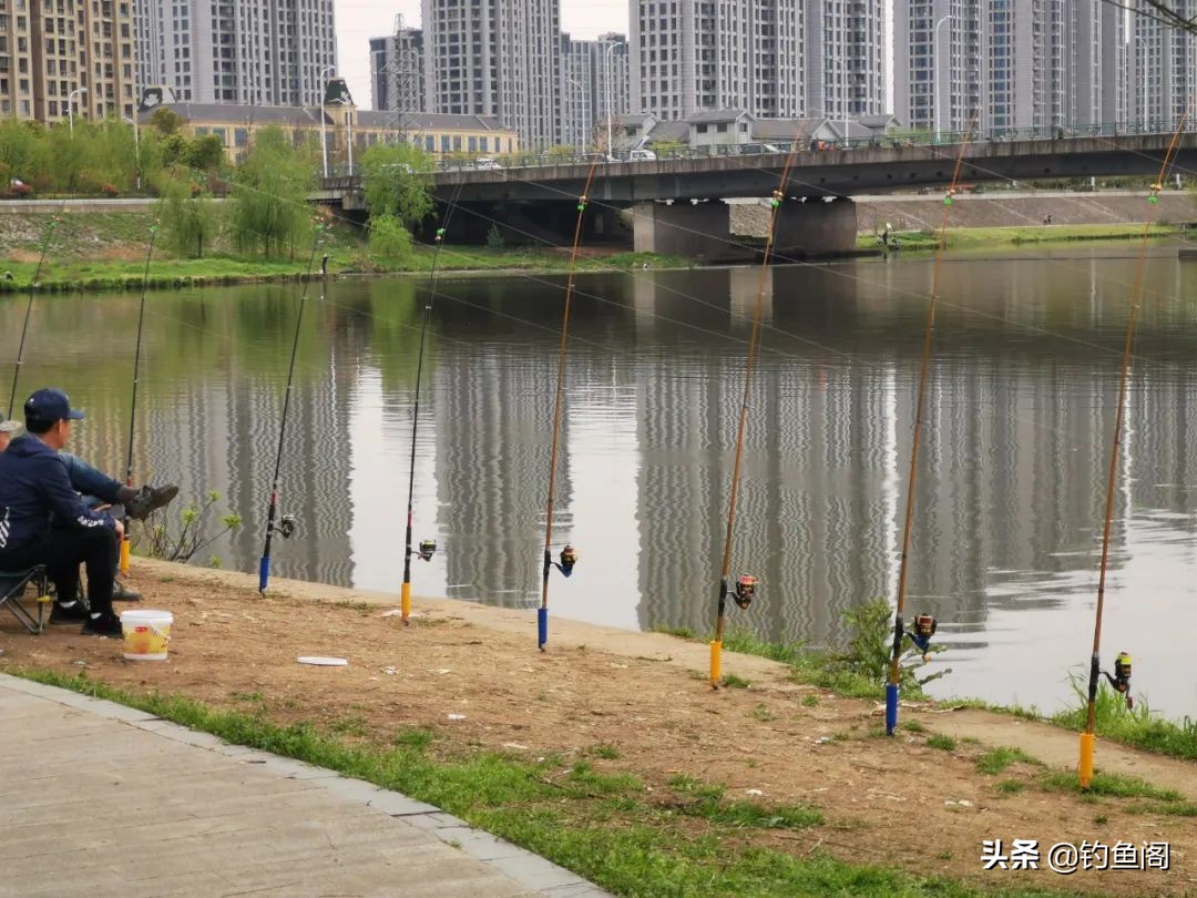 钓鱼圈也存在鄙视链？野钓黑坑吵得最凶，路亚在角落瑟瑟发抖