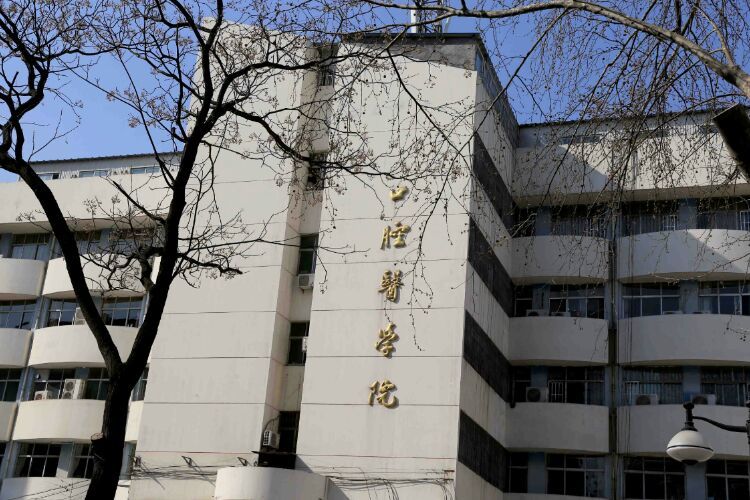 百年山东看青岛千年齐鲁逛青州,山东大学趵突泉景区