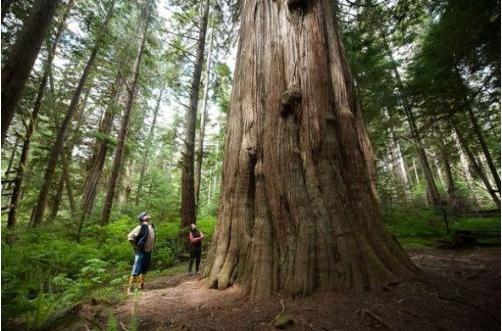 厉害的人都有3个特质,厉害的人都有什么本事