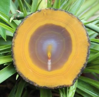 什么是玉髓它的功能是什么,真正的玉髓是什么样子