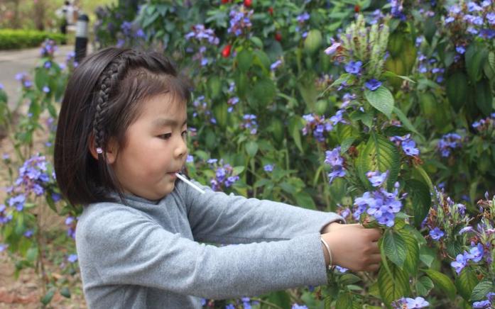 团队自驾游南澳岛旅游攻略,自驾广州长隆3天2夜亲子游攻略