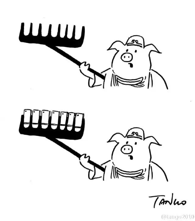 卧槽，这是谁画的，给我站出来，看完忍不住笑出猪叫